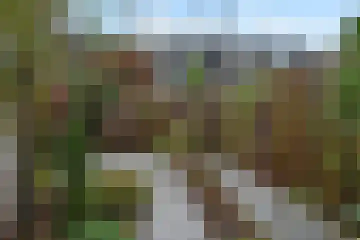 Geertruida Hoeve 25 Gouda thumbnail 16