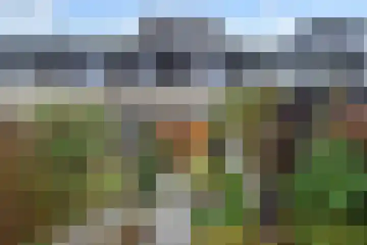 Geertruida Hoeve 25 Gouda thumbnail 17