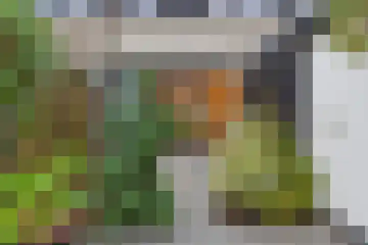 Geertruida Hoeve 25 Gouda thumbnail 18