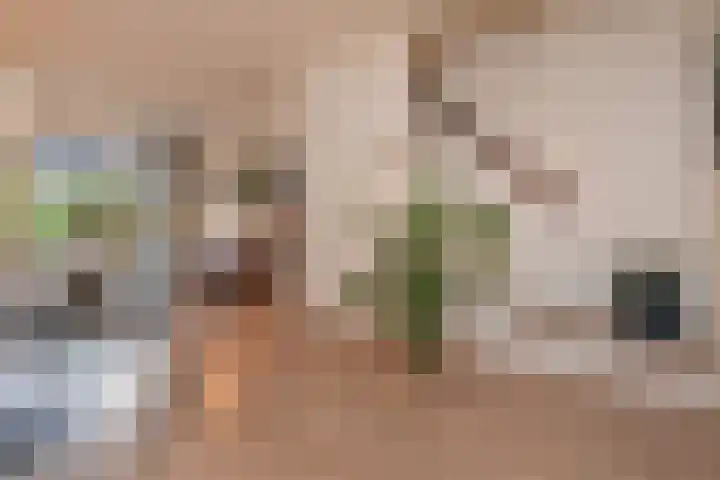 Geertruida Hoeve 25 Gouda thumbnail 20