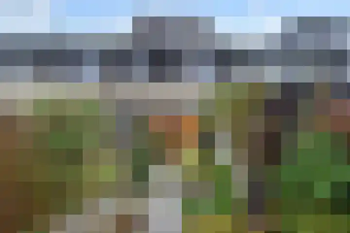 Geertruida Hoeve 25 Gouda thumbnail 4