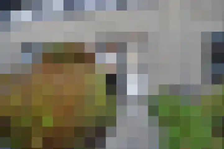Geertruida Hoeve 25 Gouda thumbnail 5