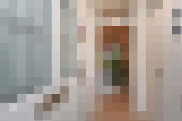 Geertruida Hoeve 25 Gouda thumbnail 6