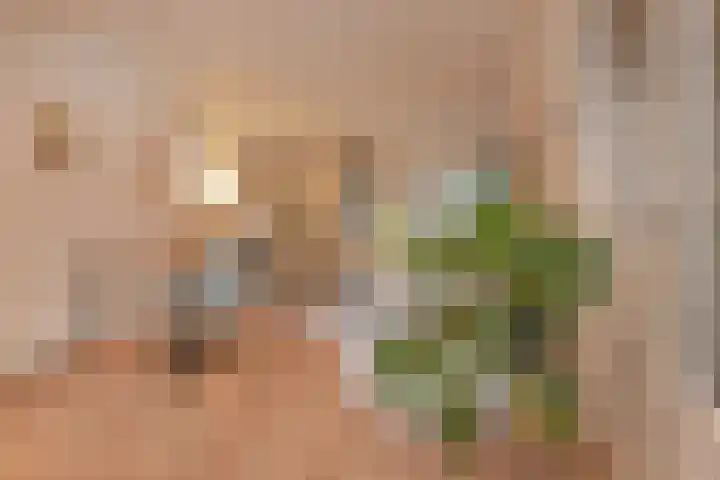 Geertruida Hoeve 25 Gouda thumbnail 7