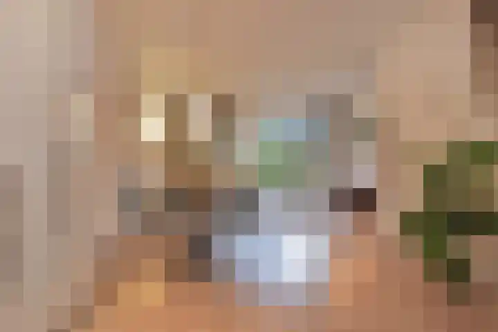 Geertruida Hoeve 25 Gouda thumbnail 8