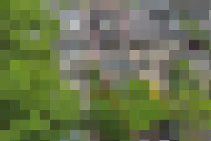 Geertruida Hoeve 39 in Gouda