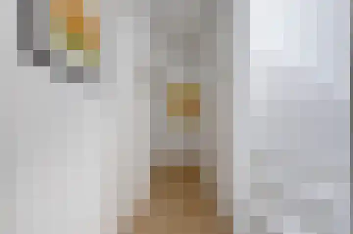 Geertruida Hoeve 39 Gouda thumbnail 16