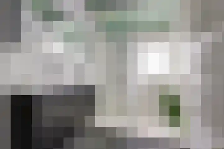 Geertruida Hoeve 39 Gouda thumbnail 23