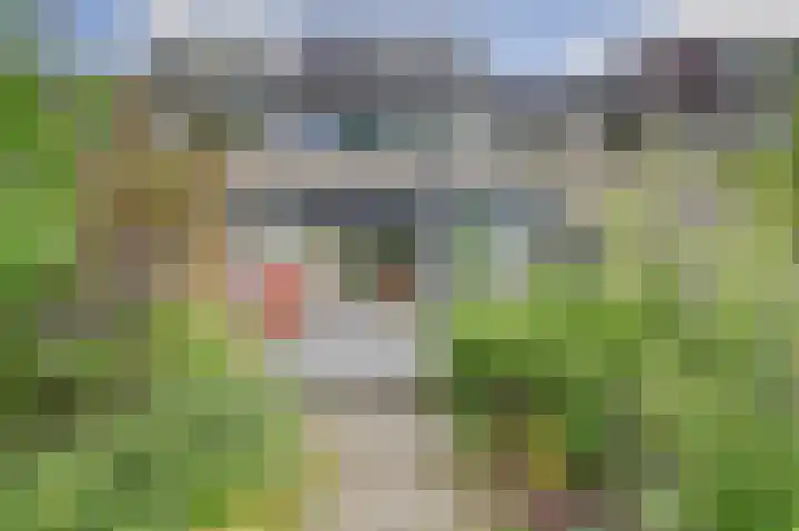 Geertruida Hoeve 39 Gouda thumbnail 29