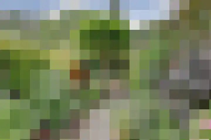 Geertruida Hoeve 39 Gouda thumbnail 30