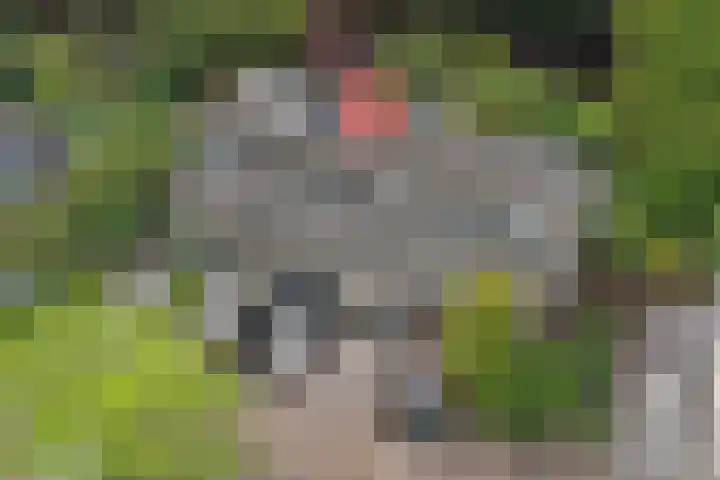 Geertruida Hoeve 39 Gouda thumbnail 36