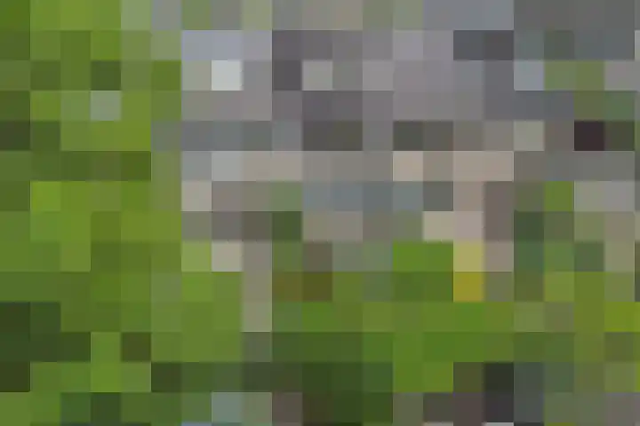Geertruida Hoeve 39 Gouda thumbnail 37