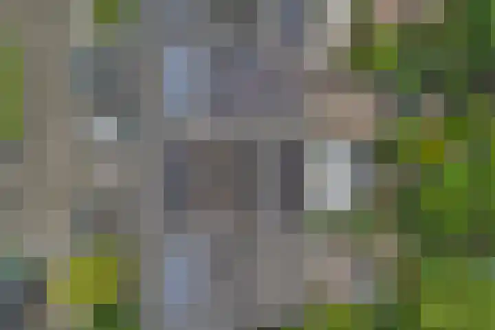 Geertruida Hoeve 39 Gouda thumbnail 38