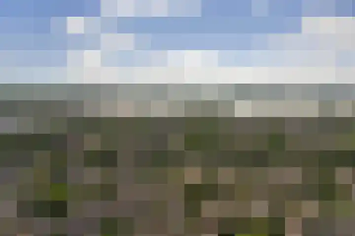 Geertruida Hoeve 39 Gouda thumbnail 39