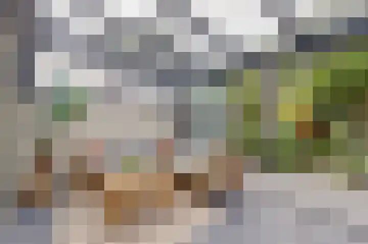 Geertruida Hoeve 39 Gouda thumbnail 4