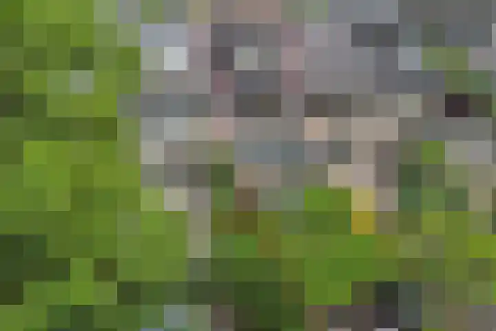 Geertruida Hoeve 39 Gouda thumbnail 45