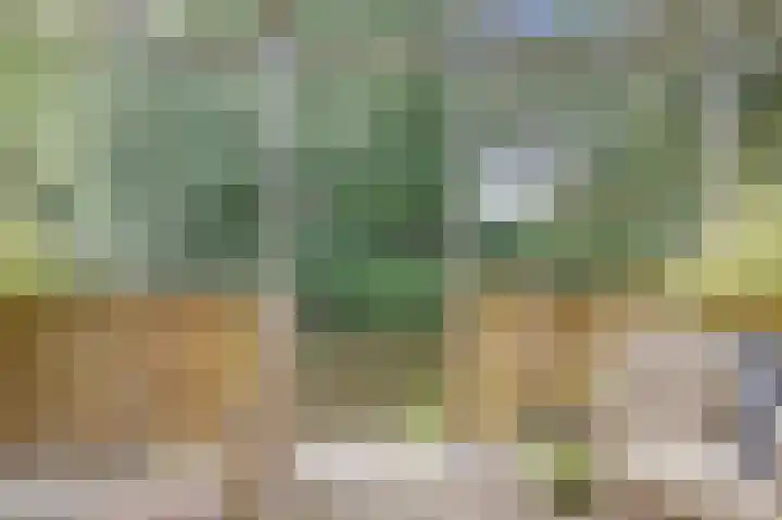 Geertruida Hoeve 39 Gouda thumbnail 5