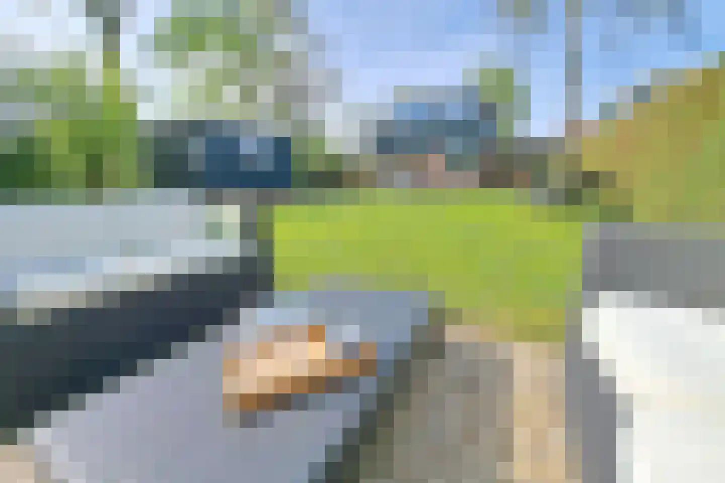 Geertruidahof 2 Heinkenszand thumbnail 7