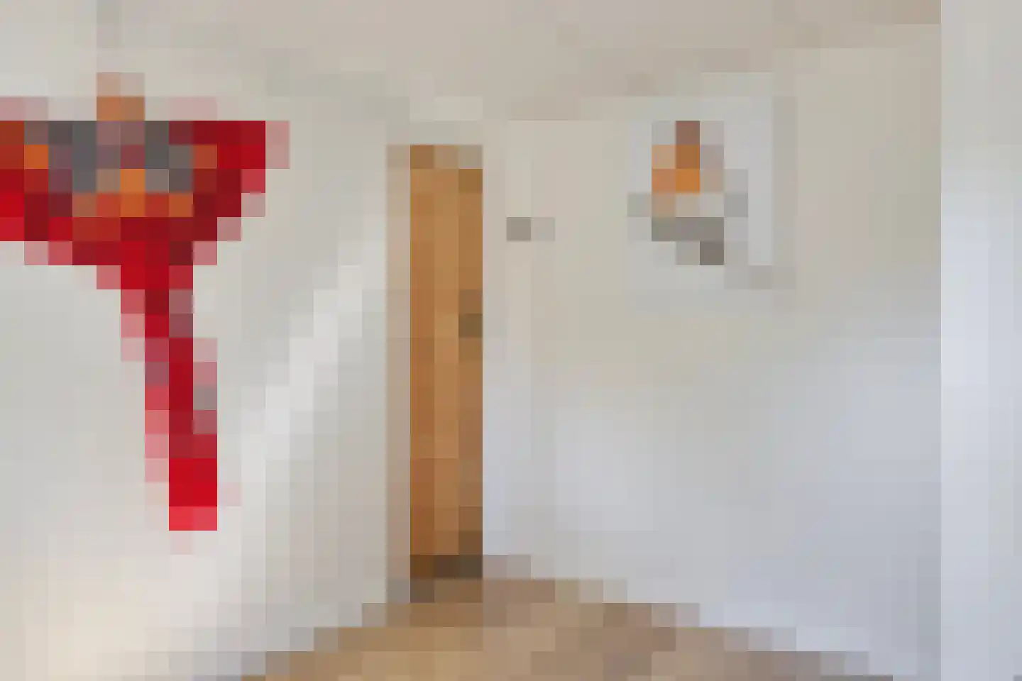 Geertruidahof 21 Heinkenszand thumbnail 25
