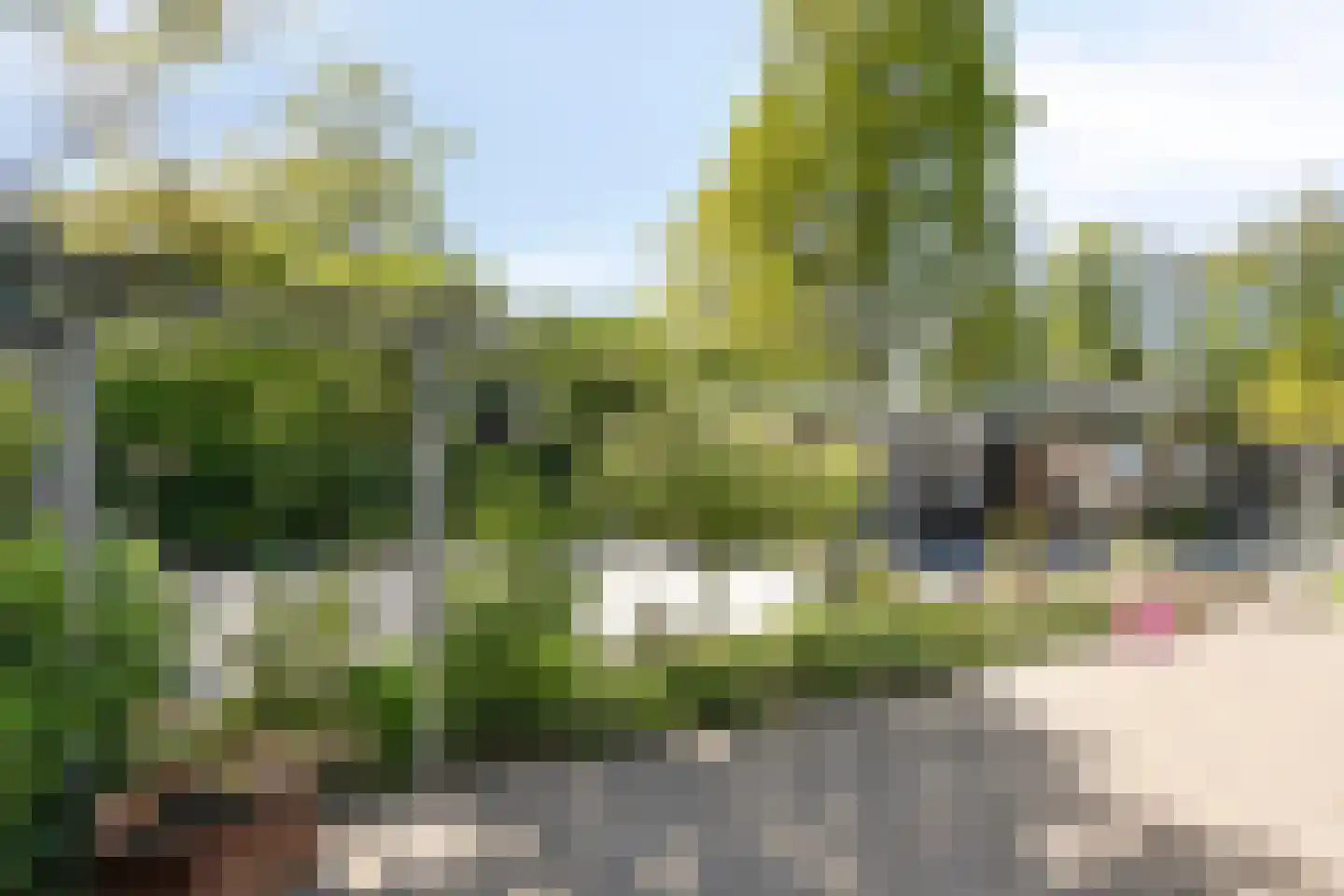Geertruidahof 21 Heinkenszand thumbnail 29