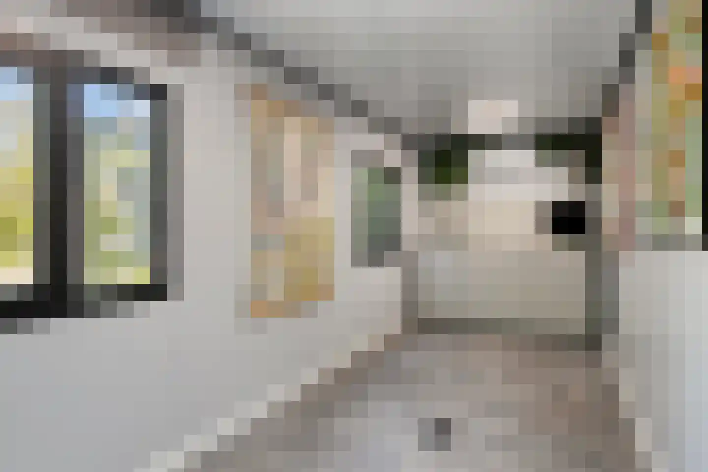 Geertruidahof 21 Heinkenszand thumbnail 33