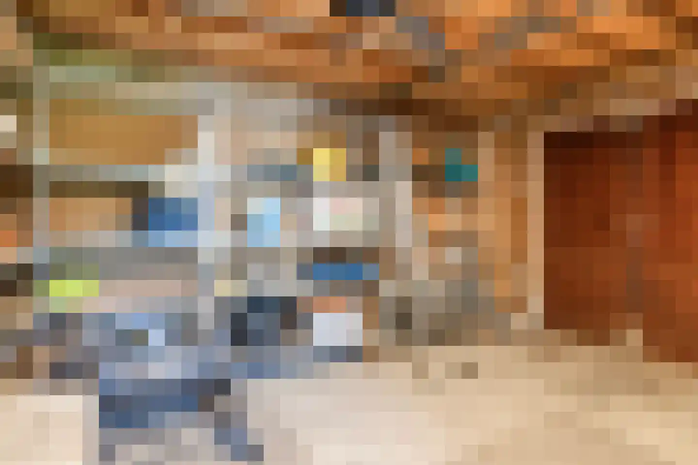 Geertruidahof 21 Heinkenszand thumbnail 36