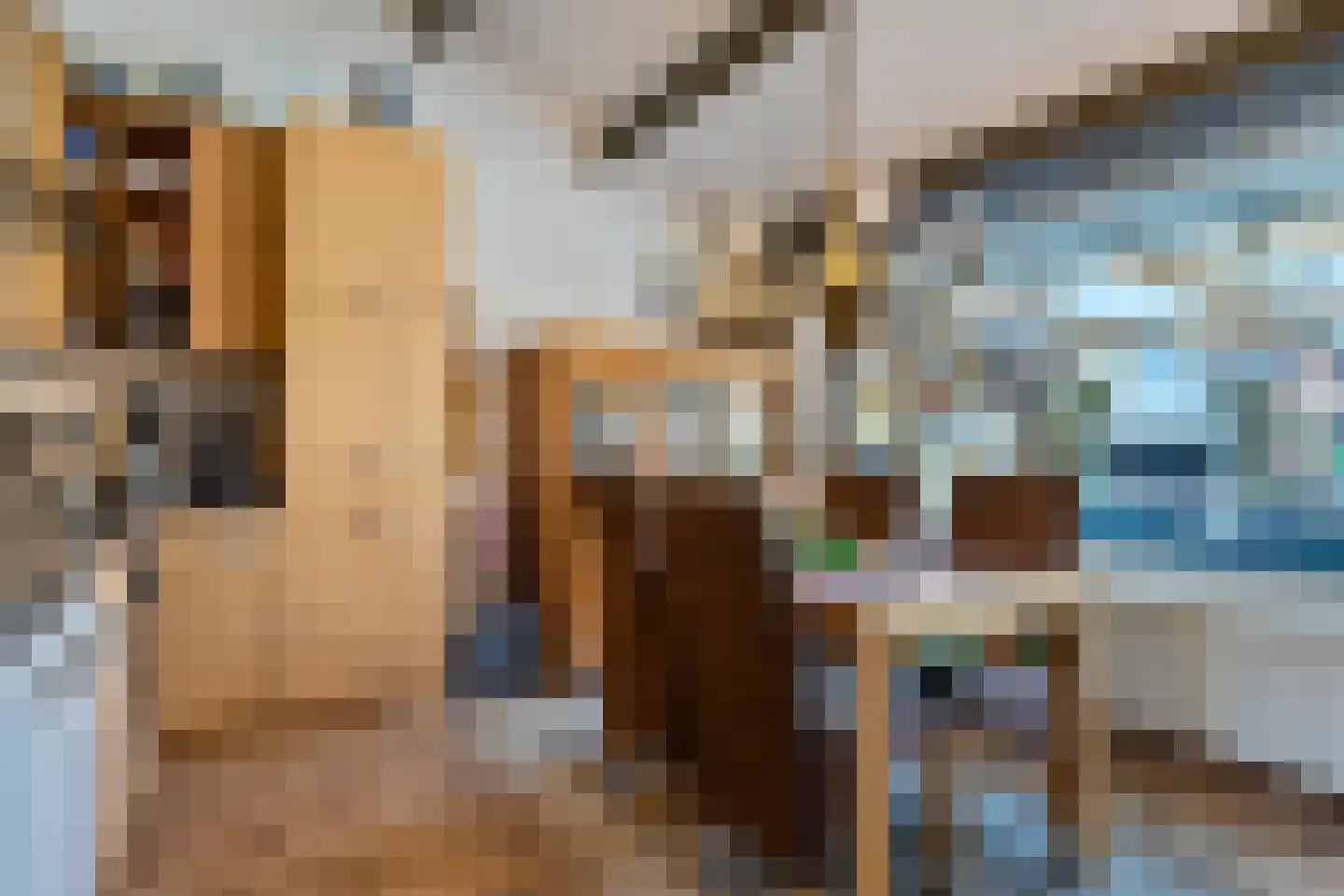 Geertruidahof 3 Heinkenszand thumbnail 21