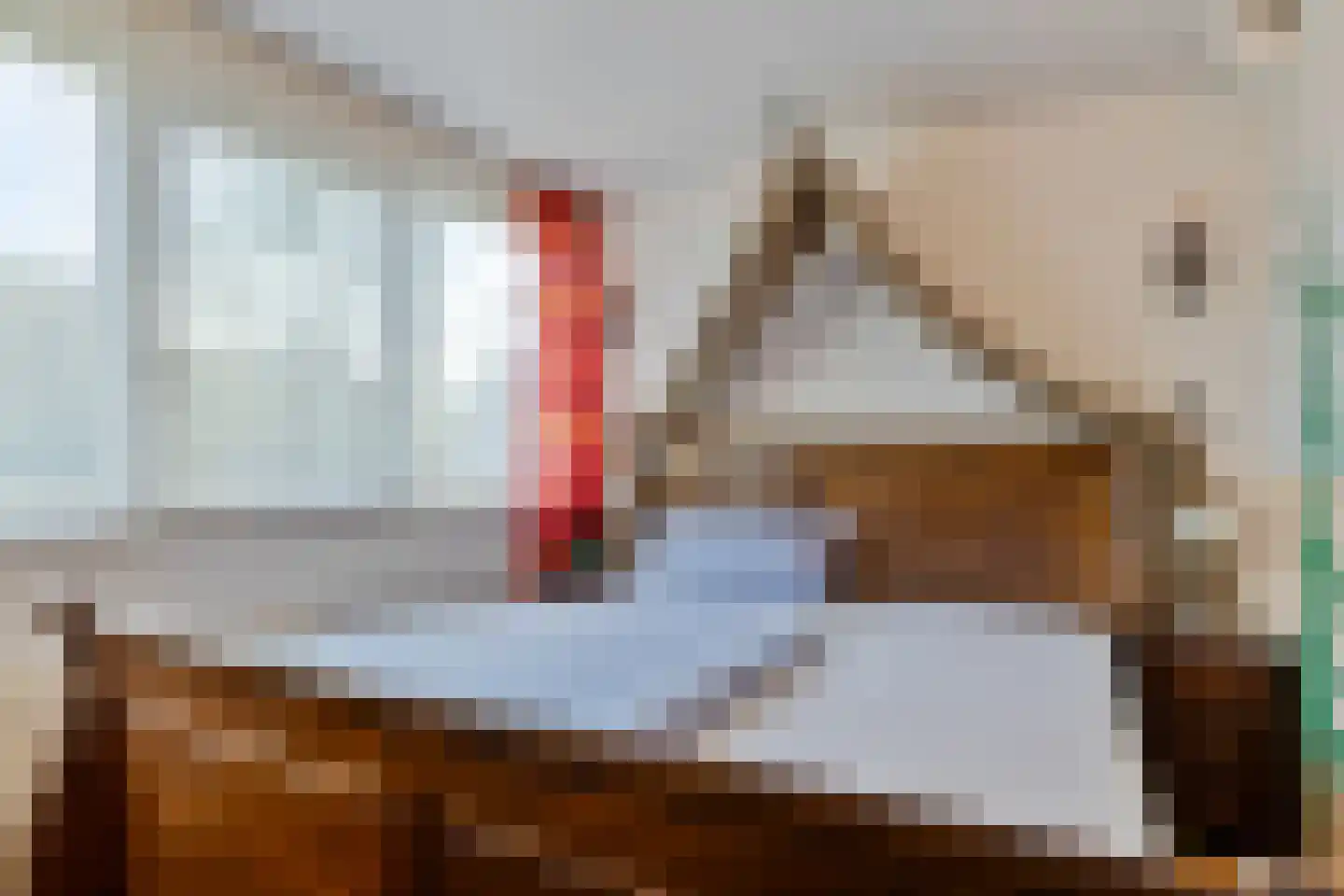 Geertruidahof 3 Heinkenszand thumbnail 24