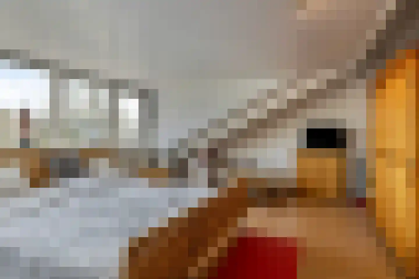 Geertruidahof 3 Heinkenszand thumbnail 25