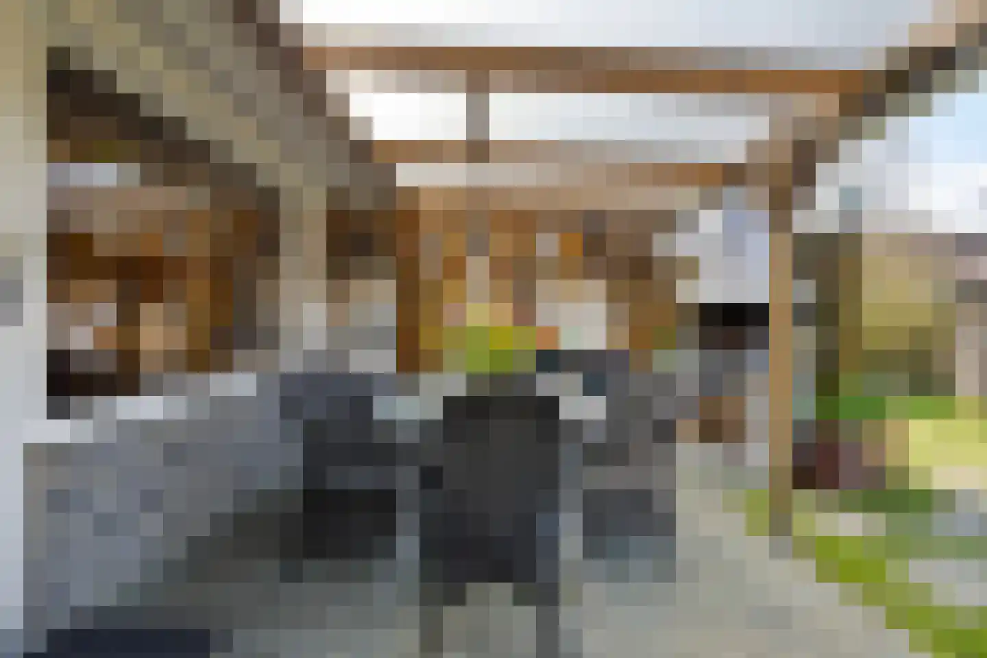 Geertruidahof 3 Heinkenszand thumbnail 28