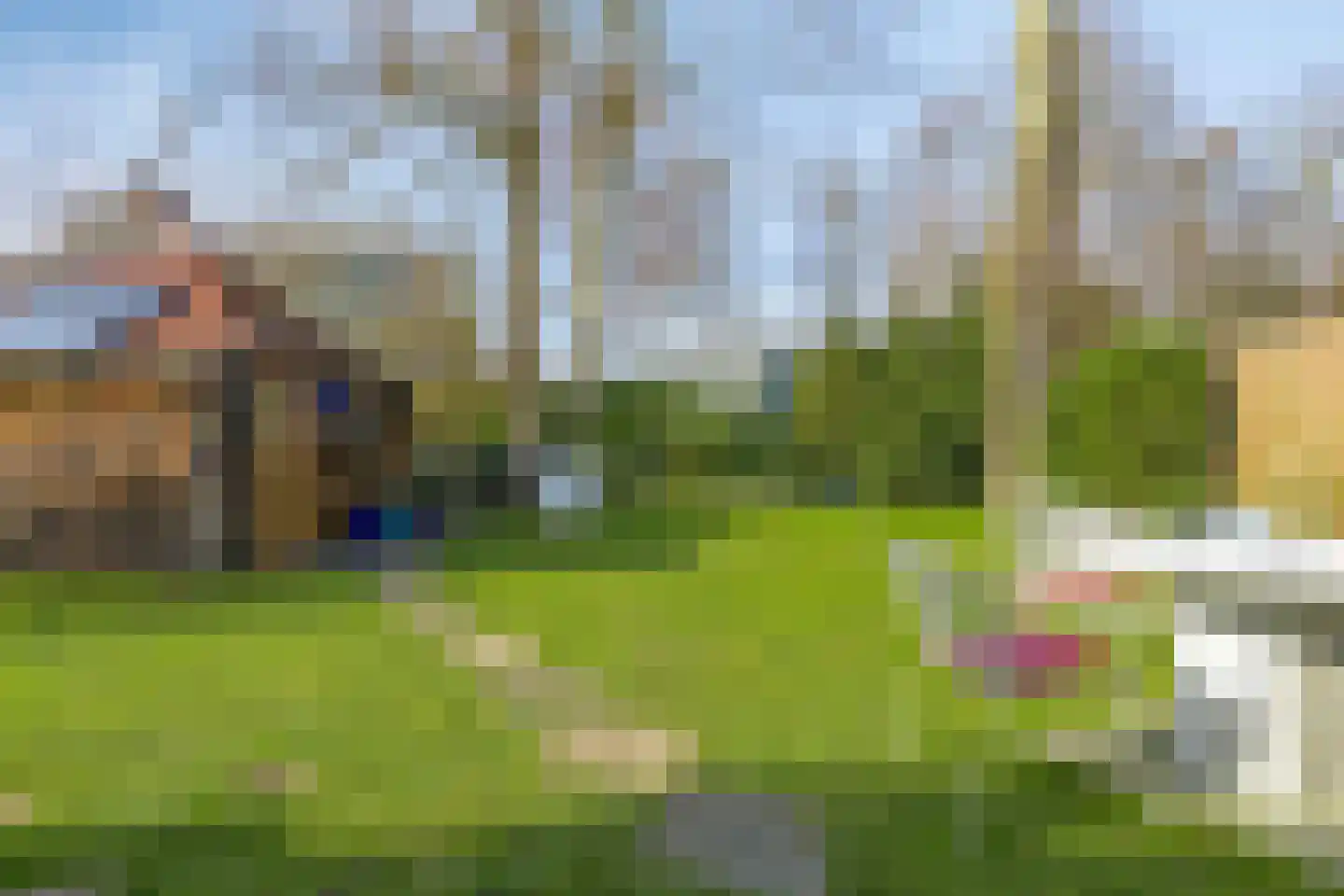 Geertruidahof 3 Heinkenszand thumbnail 30