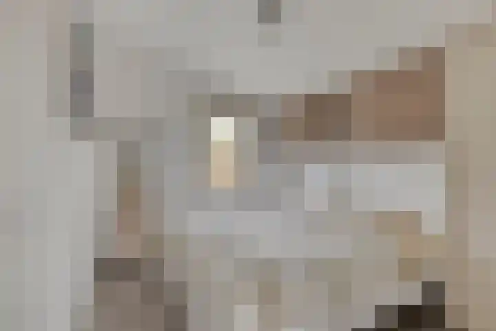 Geertruidaweg 38 Scherpenisse thumbnail 12