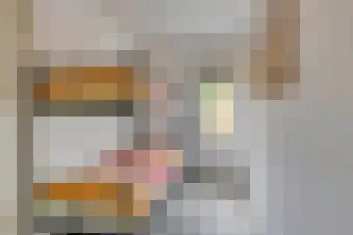 Geertruidaweg 38 Scherpenisse thumbnail 14