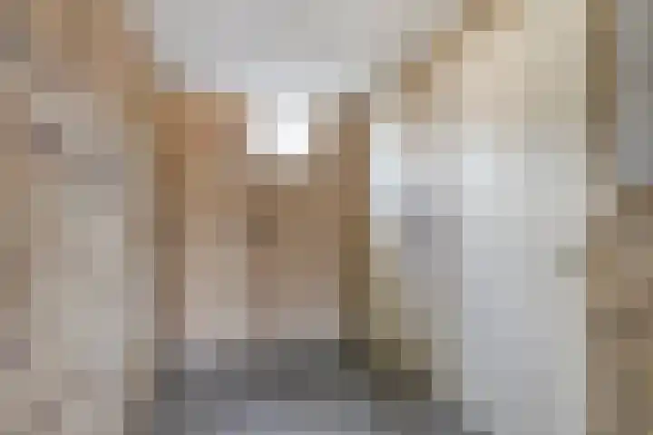 Geertruidaweg 38 Scherpenisse thumbnail 17