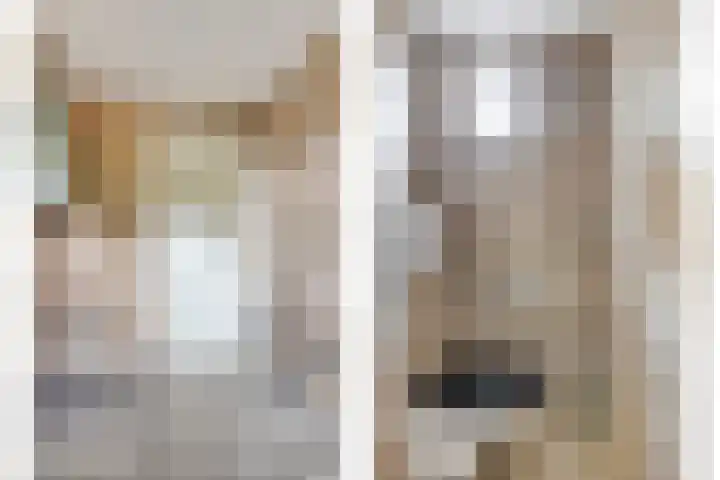 Geertruidaweg 38 Scherpenisse thumbnail 18