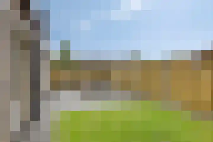 Geertruidaweg 38 Scherpenisse thumbnail 22