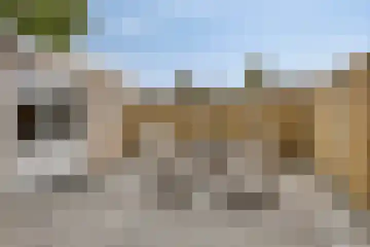 Geertruidaweg 38 Scherpenisse thumbnail 23