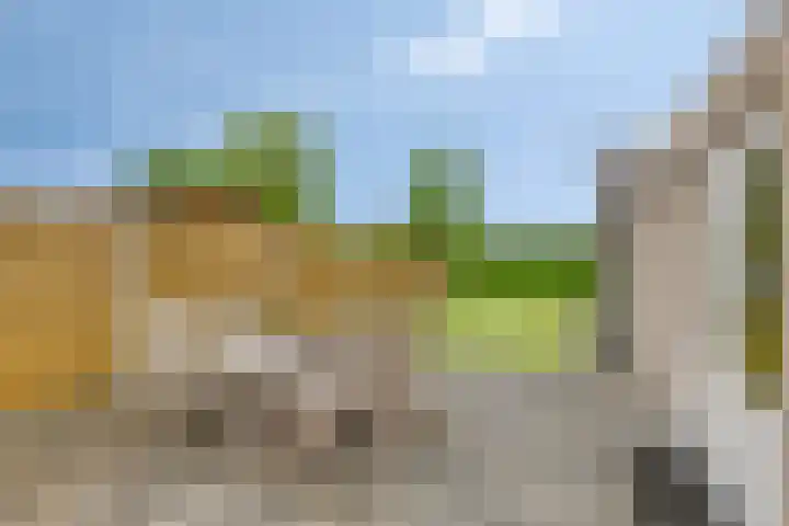 Geertruidaweg 38 Scherpenisse thumbnail 24