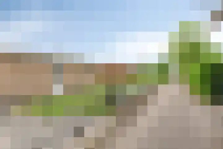 Geertruidaweg 38 Scherpenisse thumbnail 29