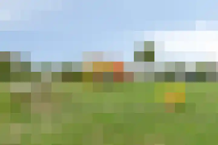 Geertruidaweg 38 Scherpenisse thumbnail 30