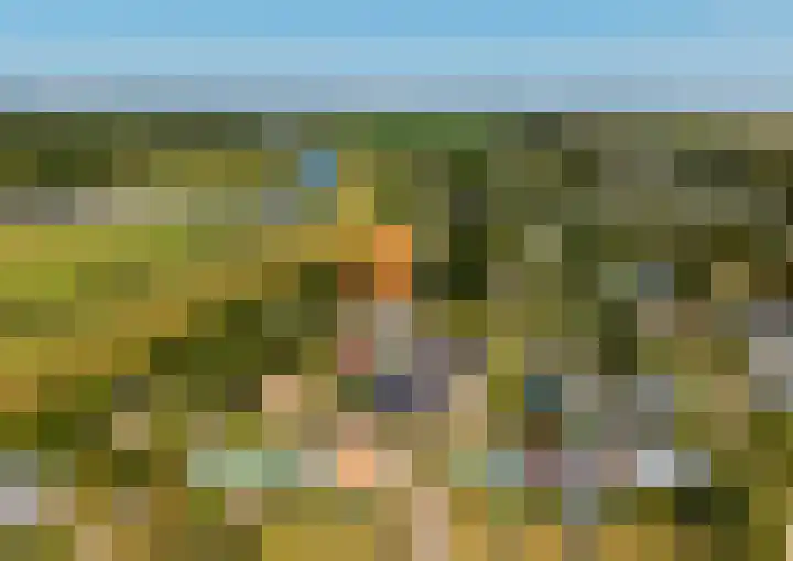 Geertruidaweg 38 Scherpenisse thumbnail 34