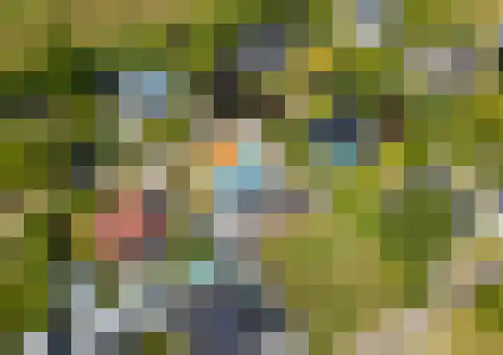 Geertruidaweg 38 Scherpenisse thumbnail 4
