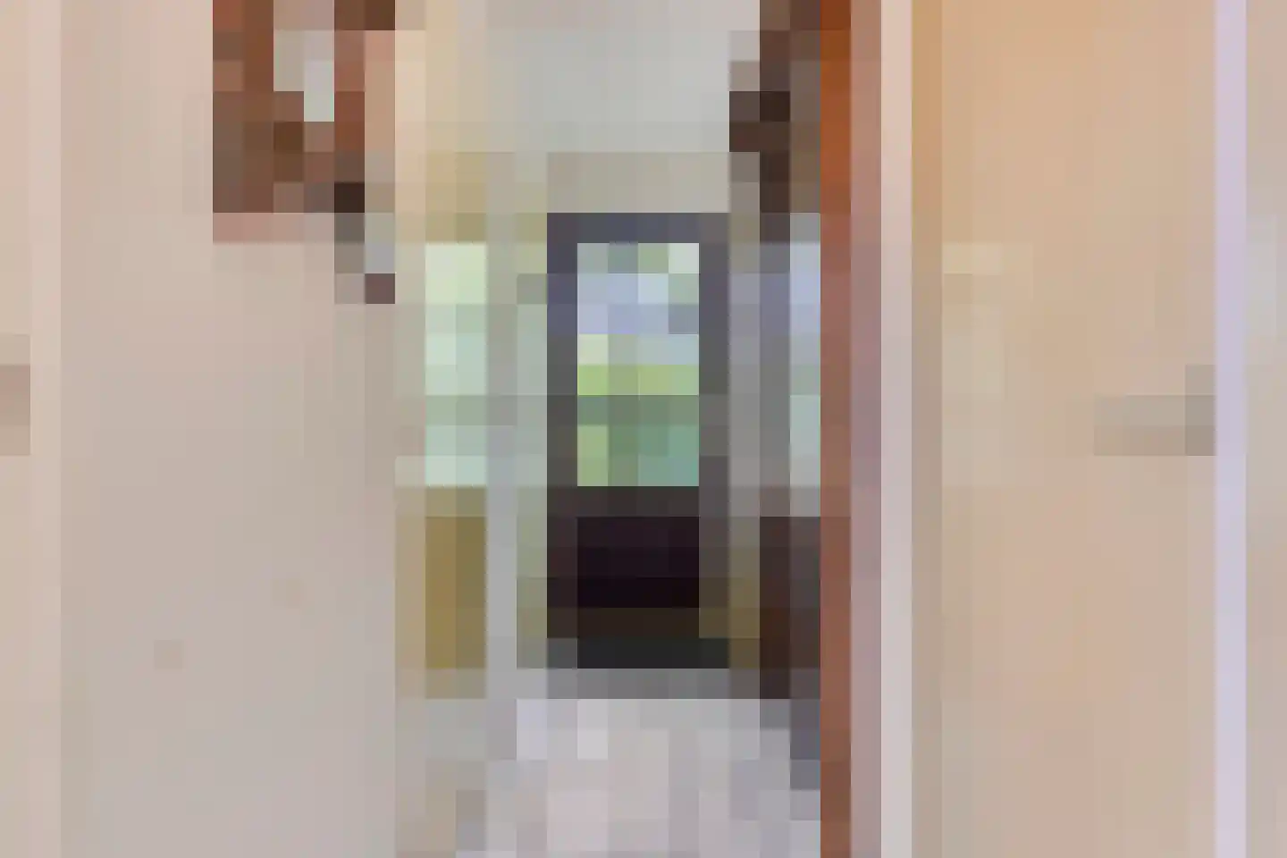 Geertruidaweg 40 Scherpenisse thumbnail 22