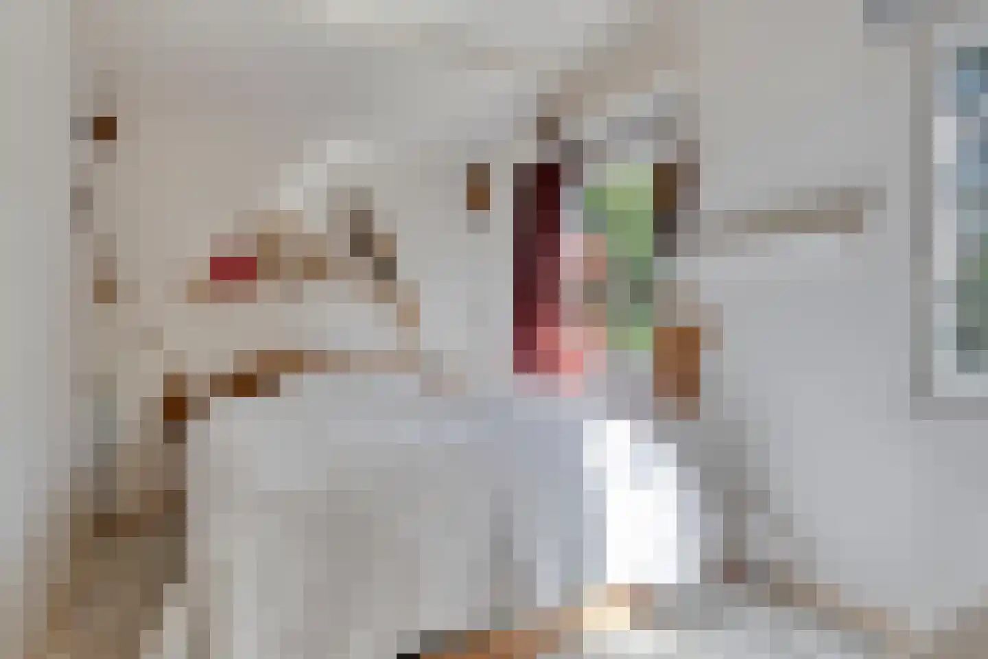 Geertruidaweg 40 Scherpenisse thumbnail 24
