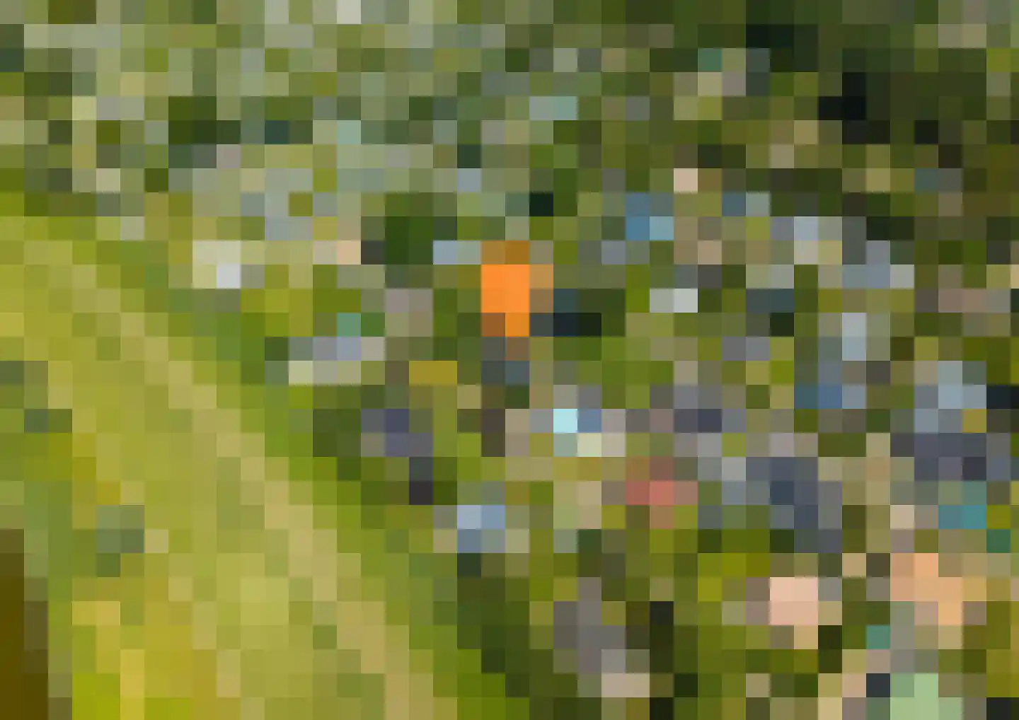 Geertruidaweg 40 Scherpenisse thumbnail 30