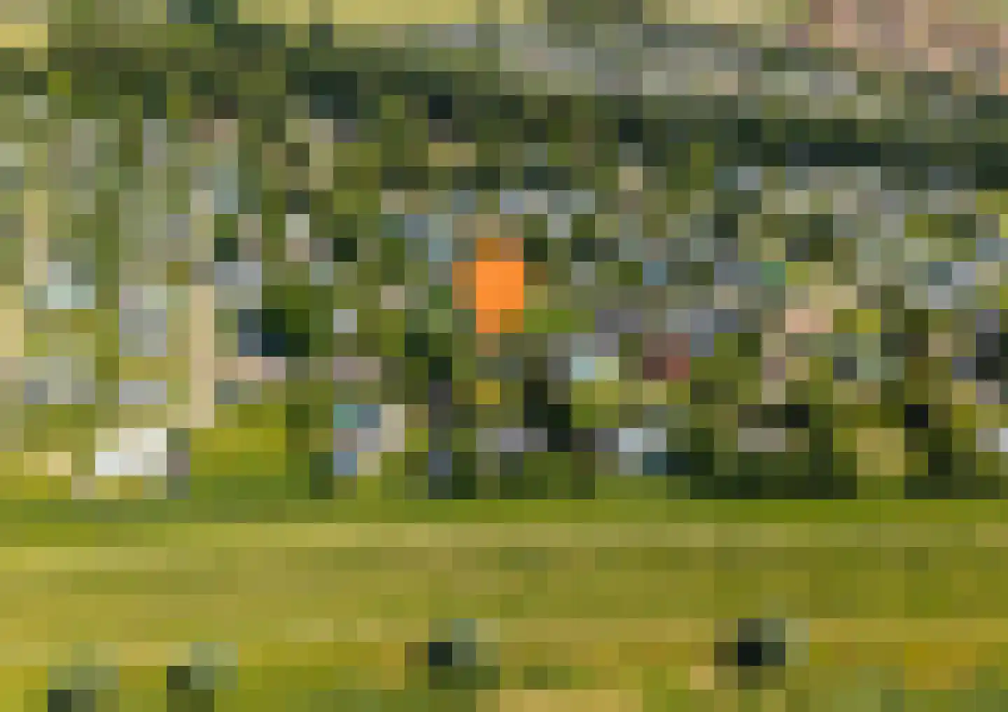 Geertruidaweg 40 Scherpenisse thumbnail 31