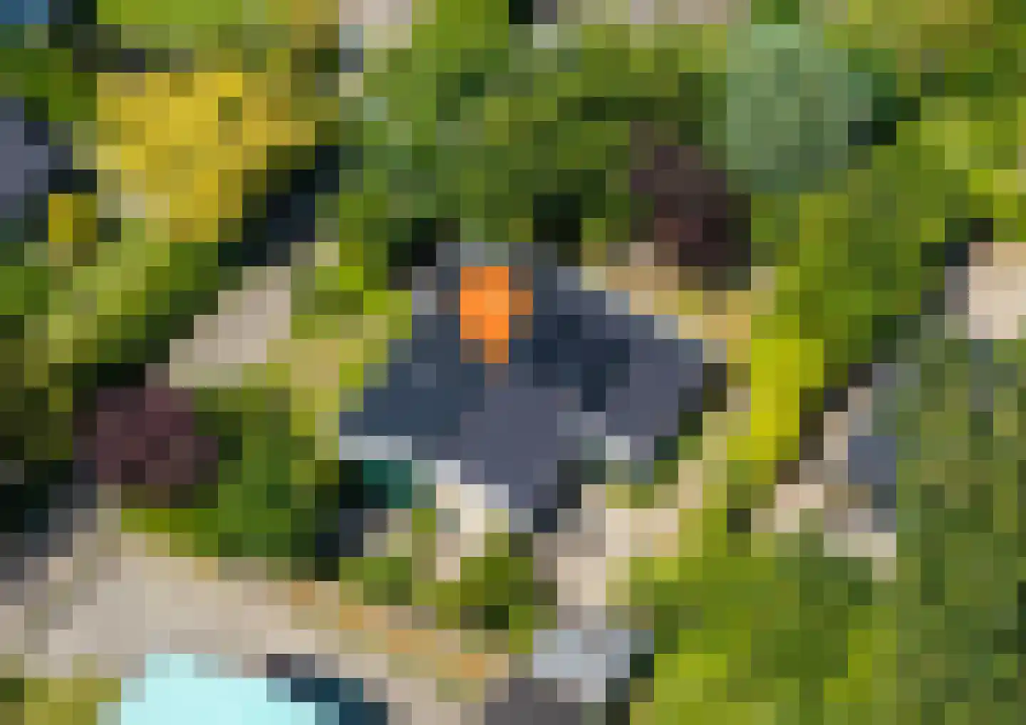 Geertruidaweg 40 Scherpenisse thumbnail 32