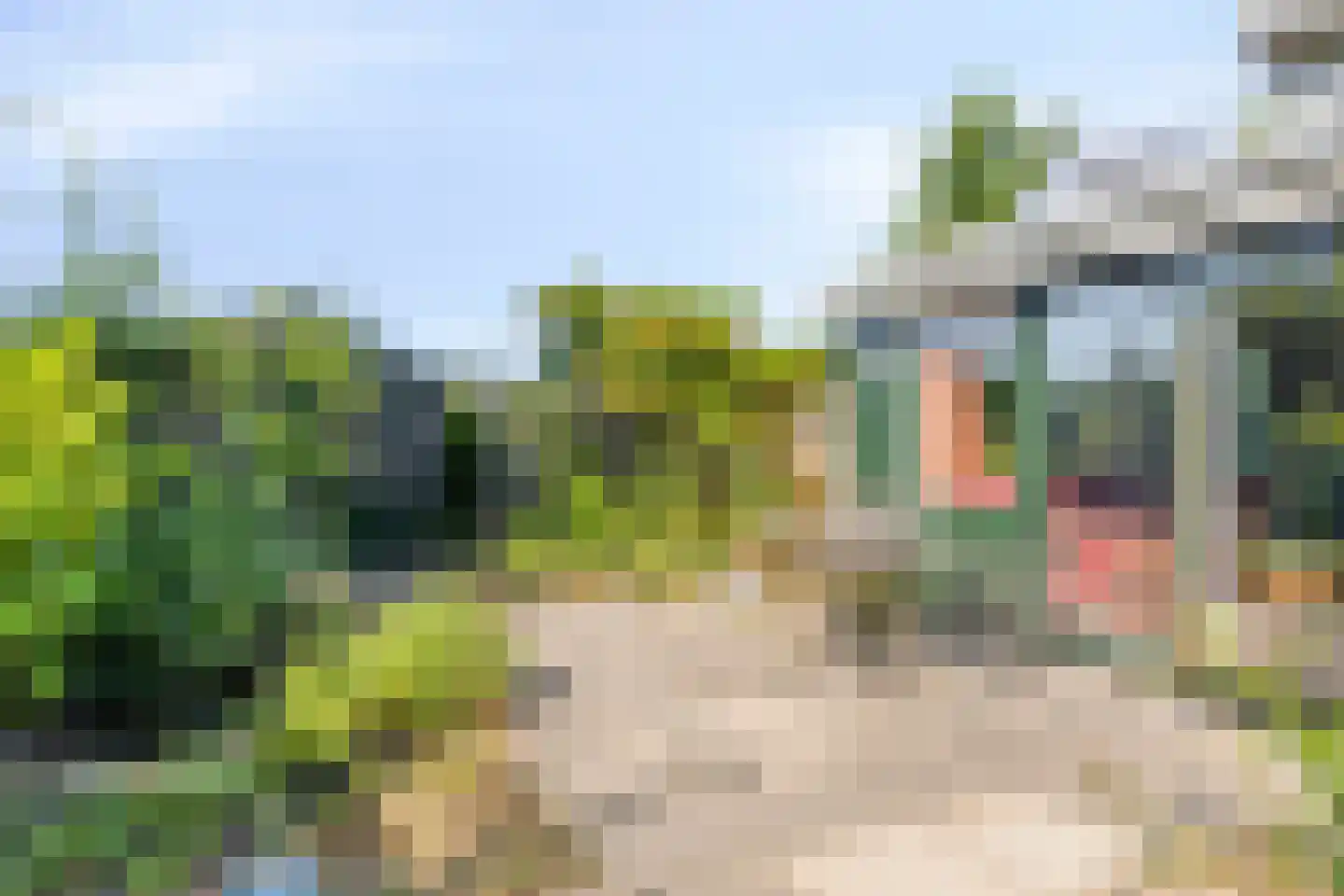 Geertruidaweg 40 Scherpenisse thumbnail 35