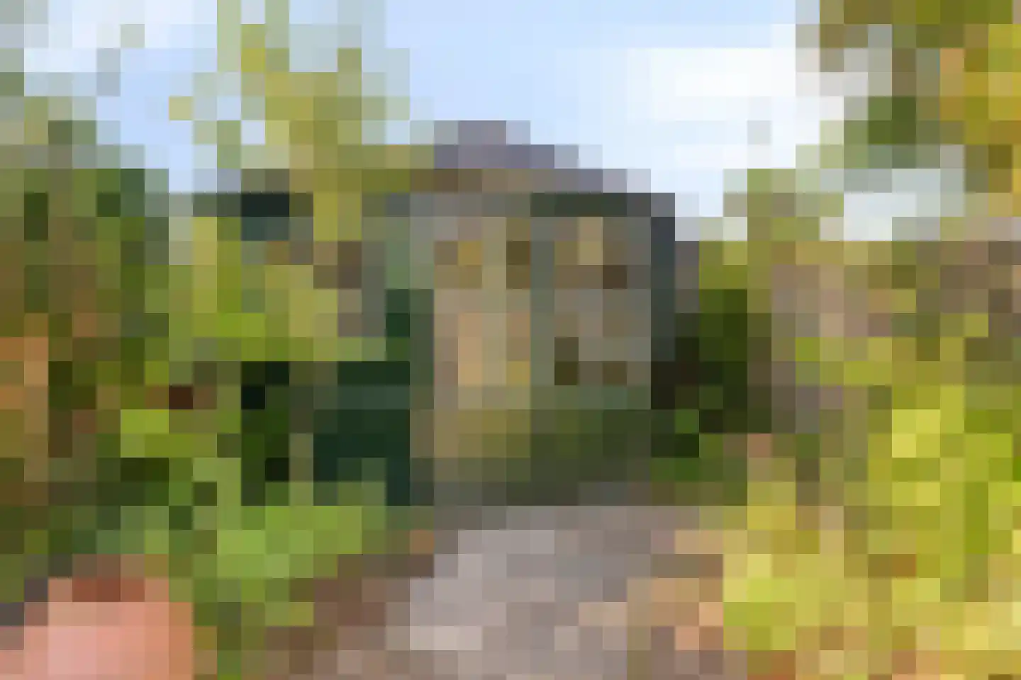 Geertruidaweg 40 Scherpenisse thumbnail 36