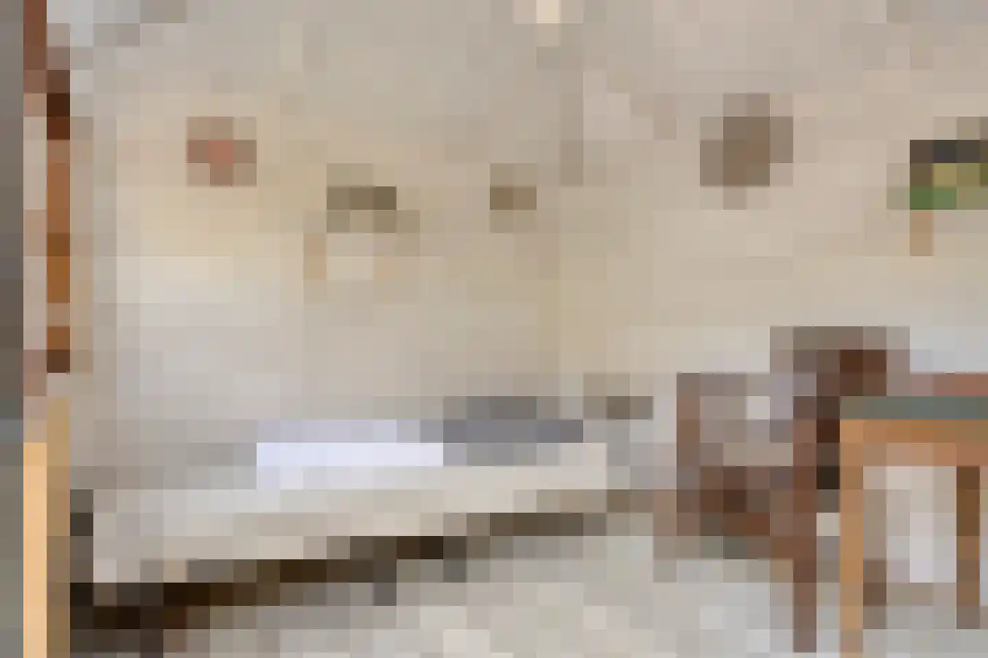 Geertruidaweg 40 Scherpenisse thumbnail 37
